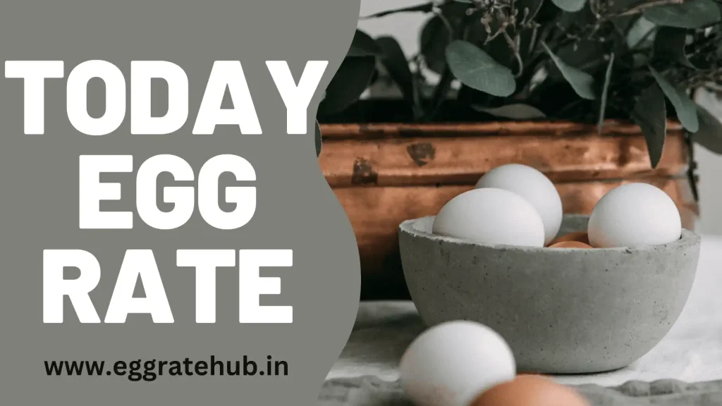 Today Egg Rate